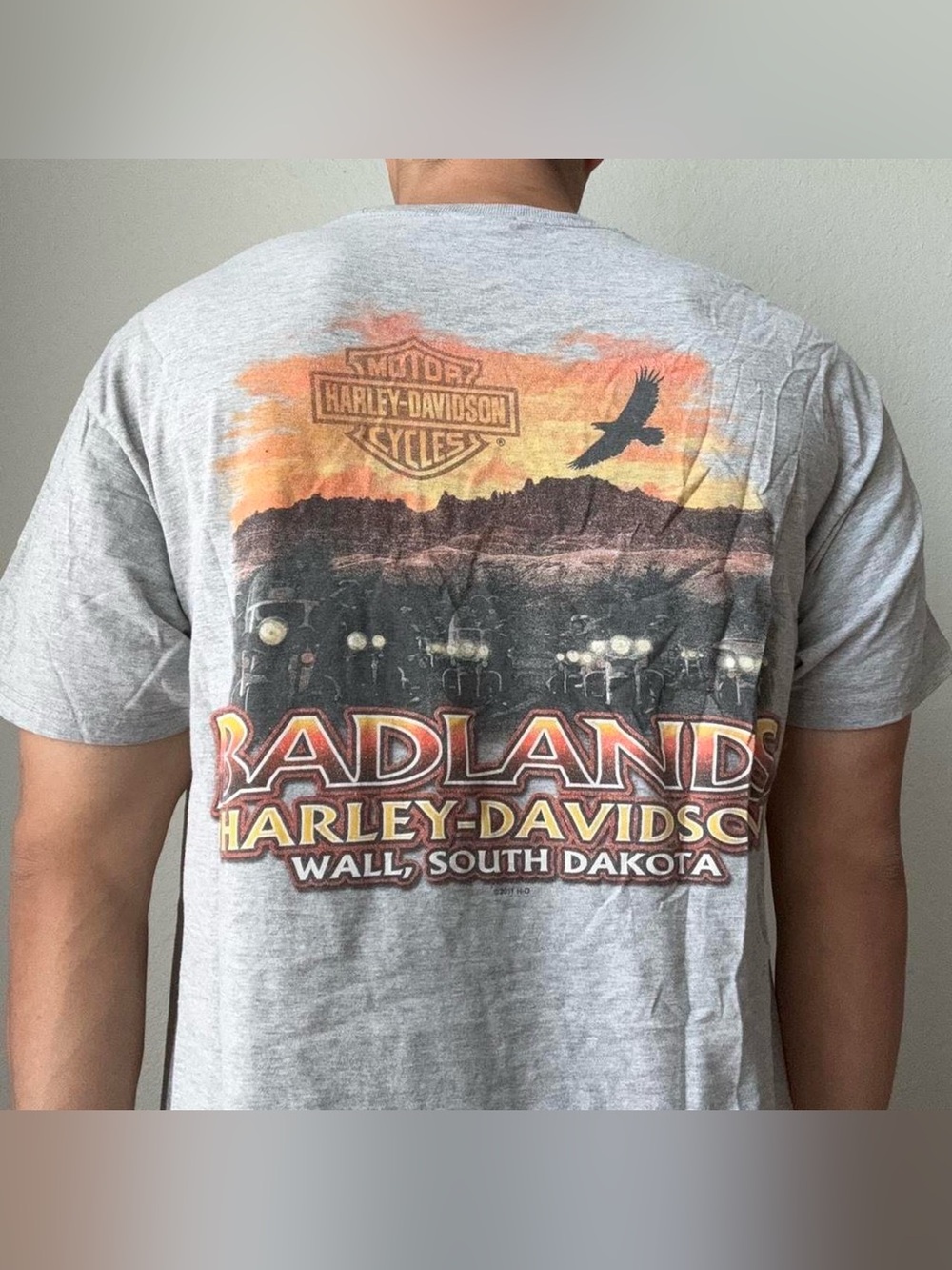 Vintage 2000s Harley Davidson Badlands Graphics Gray Tee Shirt